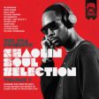 The RZA presents Shaolin Soul Selection: Volume 1