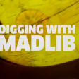 Madlib encontra o brasileiro Joel Stones pra uma sessão de diggin' brasuca