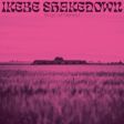 Ouça o hipnótico álbum da banda Ikebe Shakedown: "Kings Left Behind"