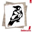 Belleruche – 270 Stories
